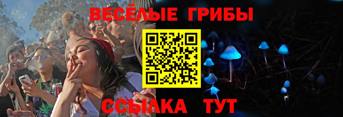 Псилоцибиновые грибы GOLDEN TEACHER  Галлюциногенные грибы ЛСД  Зеленодольск  Вход с VPN 